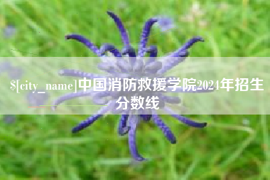 塔城中国消防救援学院2024年招生分数线