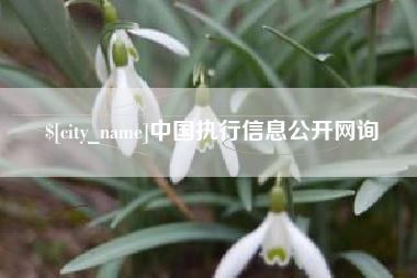 塔城中国执行信息公开网询