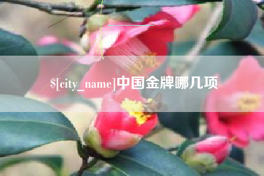 塔城中国金牌哪几项
