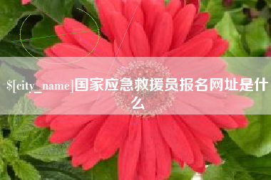 塔城国家应急救援员报名网址是什么