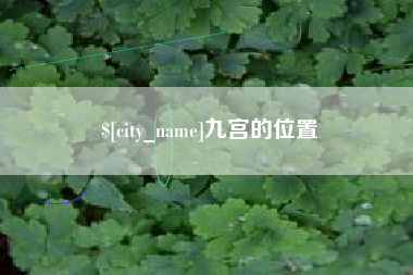 塔城九宫的位置