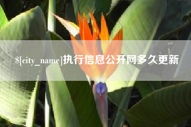 塔城执行信息公开网多久更新