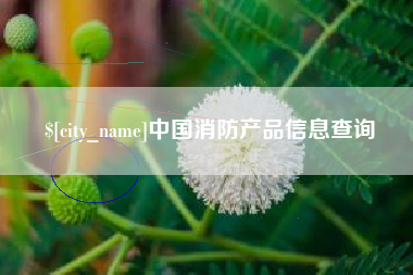 塔城中国消防产品信息查询