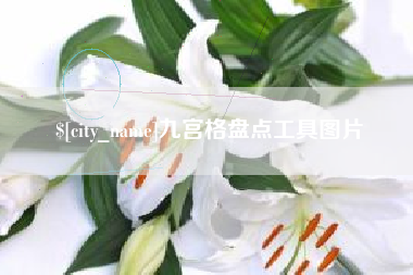 塔城九宫格盘点工具图片