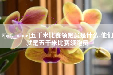 塔城五千米比赛领跑员是什么-他们就是五千米比赛领跑员
