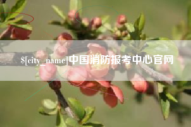 塔城中国消防报考中心官网