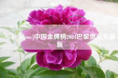 塔城中国金牌榜2024巴黎奥运会最新
