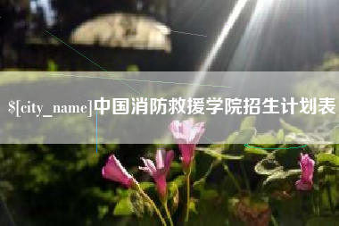 塔城中国消防救援学院招生计划表