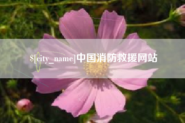 塔城中国消防救援网站