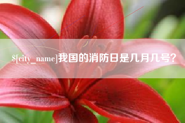 塔城我国的消防日是几月几号？