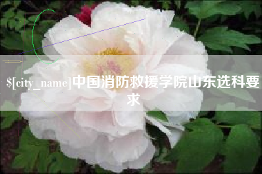 塔城中国消防救援学院山东选科要求