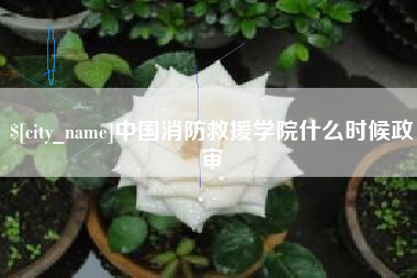 塔城中国消防救援学院什么时候政审