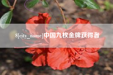 塔城中国九枚金牌获得者