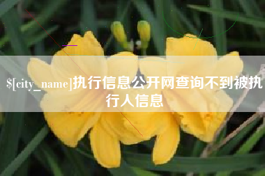 塔城执行信息公开网查询不到被执行人信息