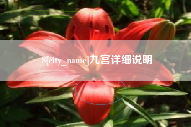 塔城九宫详细说明