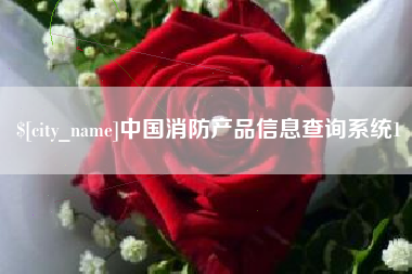 塔城中国消防产品信息查询系统1