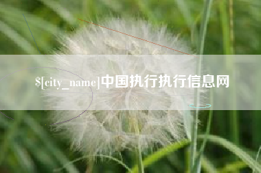 塔城中国执行执行信息网