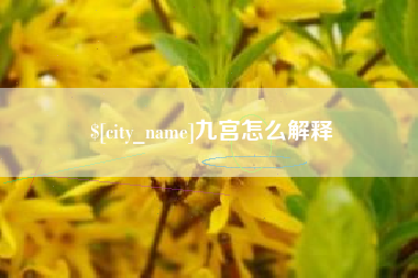 塔城九宫怎么解释