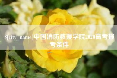 塔城中国消防救援学院2020高考报考条件