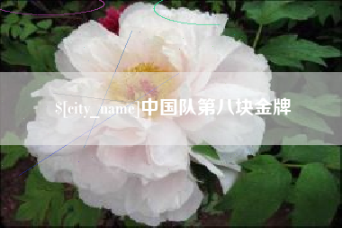 塔城中国队第八块金牌