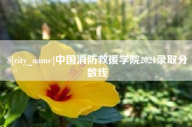 塔城中国消防救援学院2021录取分数线
