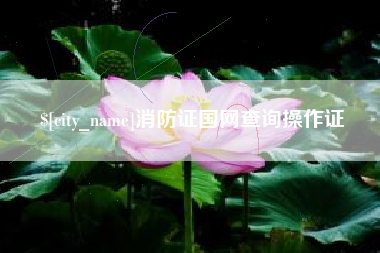 塔城消防证国网查询操作证