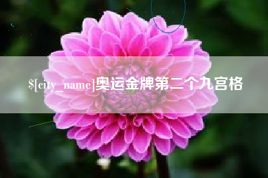 塔城奥运金牌第二个九宫格