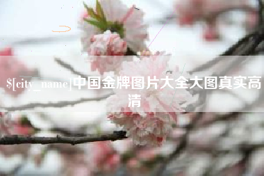 塔城中国金牌图片大全大图真实高清
