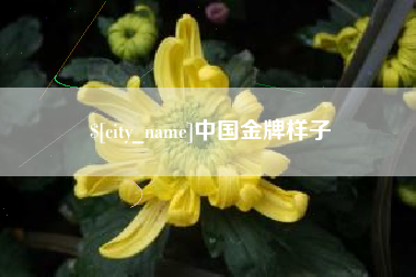 塔城中国金牌样子