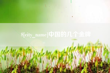 塔城中国的几个金牌