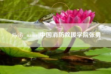 塔城中国消防救援学院张勇
