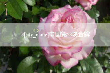 塔城中国第28块金牌