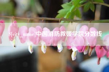塔城中国消防救援学院分数线