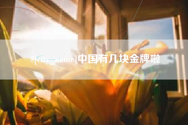 塔城中国有几块金牌啦