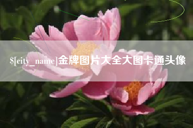 塔城金牌图片大全大图卡通头像