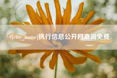 塔城执行信息公开网查询免费