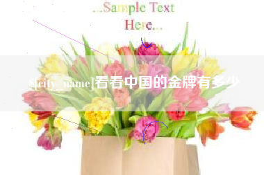 塔城看看中国的金牌有多少